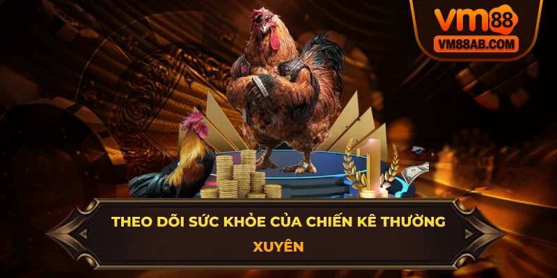 Theo dõi sức khỏe của chiến kê thường xuyên